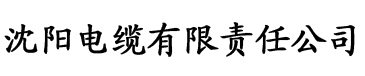 AV无码电缆厂logo